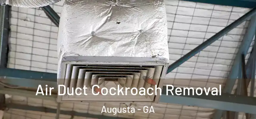 Air Duct Cockroach Removal Augusta - GA