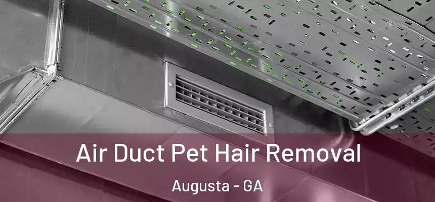 Air Duct Pet Hair Removal Augusta - GA