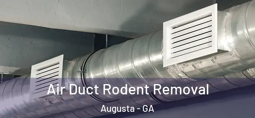 Air Duct Rodent Removal Augusta - GA