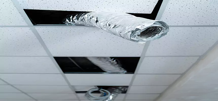 Affordable HVAC Sanitizing After Pest Removal in Augusta