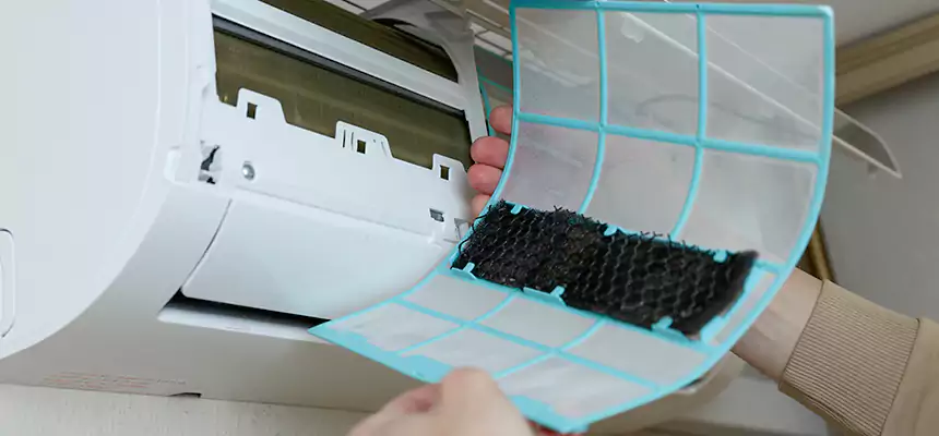 Gentle Ductwork Odor-Control Pet Dander Duct Cleaning in Augusta, GA