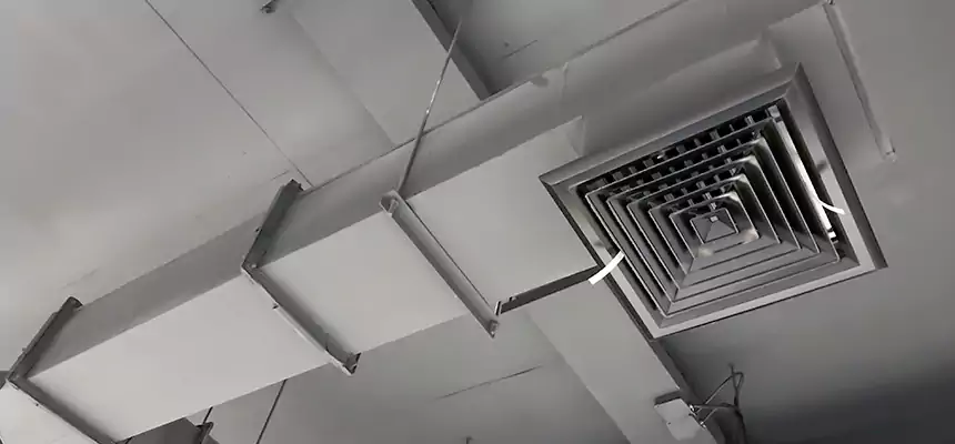 Our Rodent Droppings In Vents Services in Augusta, GA