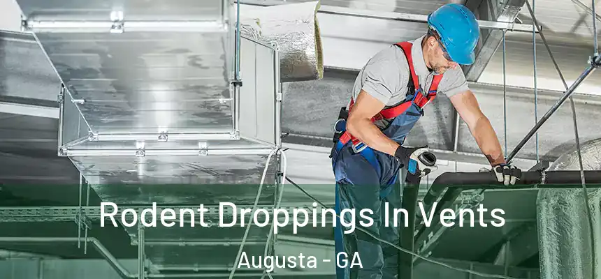 Rodent Droppings In Vents Augusta - GA