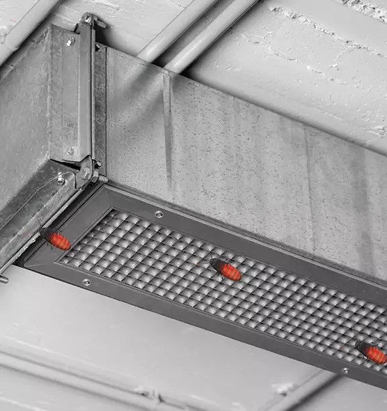 About Air Duct Cockroach Removal in Augusta, GA