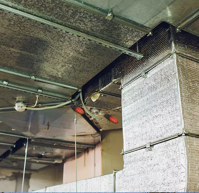 Why Homeowners & Businesses Trust Us in Augusta, GA?