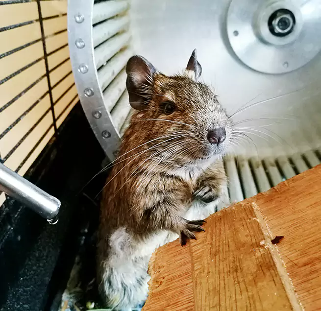 Why Homeowners & Businesses Trust Us Augusta, GA