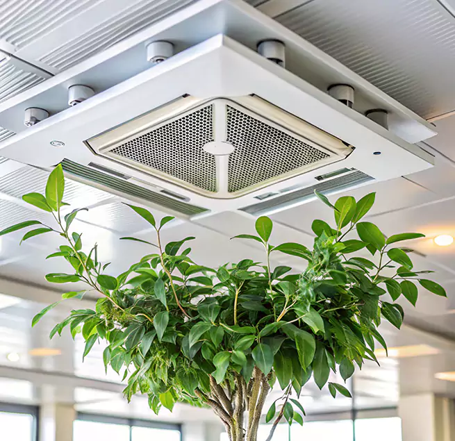 Why Homeowners & Businesses Trust Us in Augusta, GA?